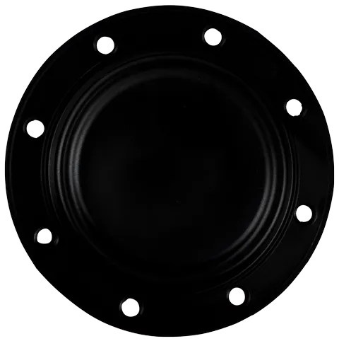 Wolf Handlochdeckeldichtung für SEW-1-300 2486576