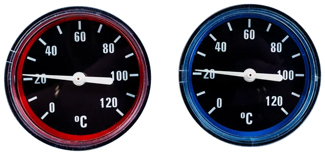 Wolf Thermometer-Set DN40/50 für Verrohrungsgruppen 2747938