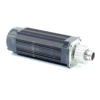 Wittur Electric Servomotor
